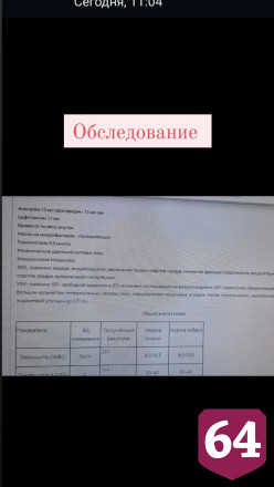 Саратовская юристка ищет любящую семью пожилой собаке