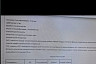 Саратовская юристка ищет любящую семью пожилой собаке