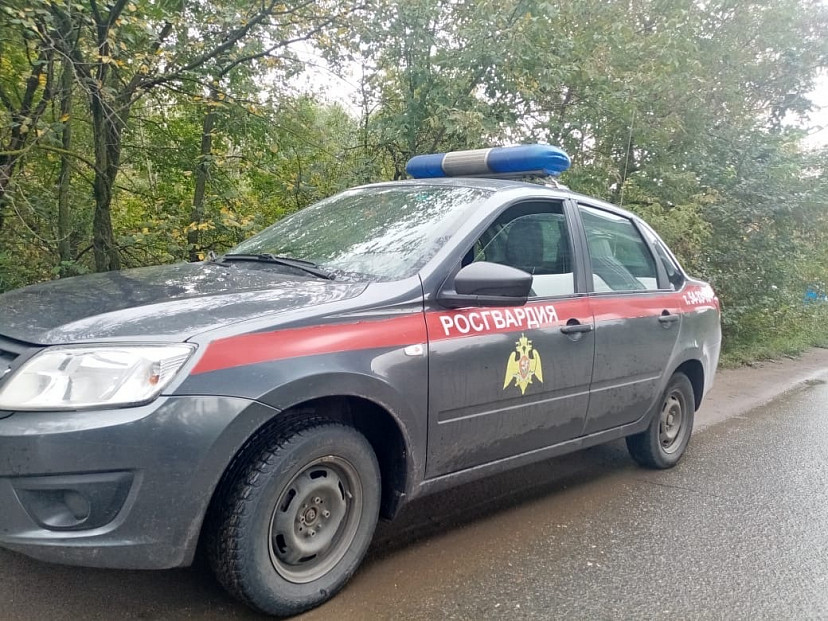 В Саратове росгвардейцы спасли упавшую в овраг 81-летнюю женщину