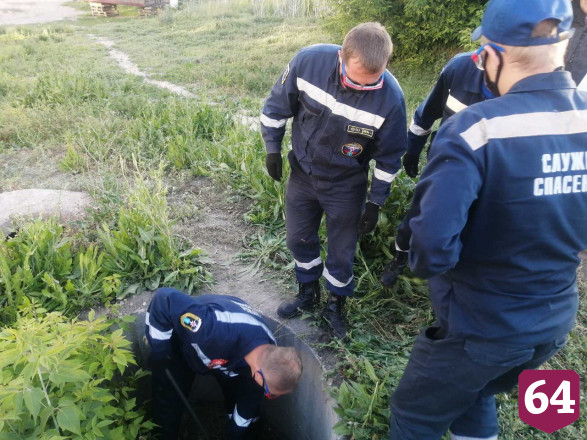 В Саратове спасатели вытащили из колодца собаку