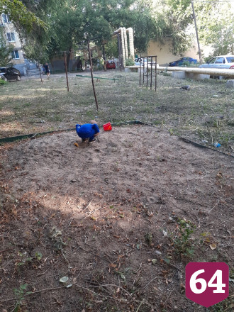 Жительница Саратова пожаловалась на «ужасное состояние» детских площадок