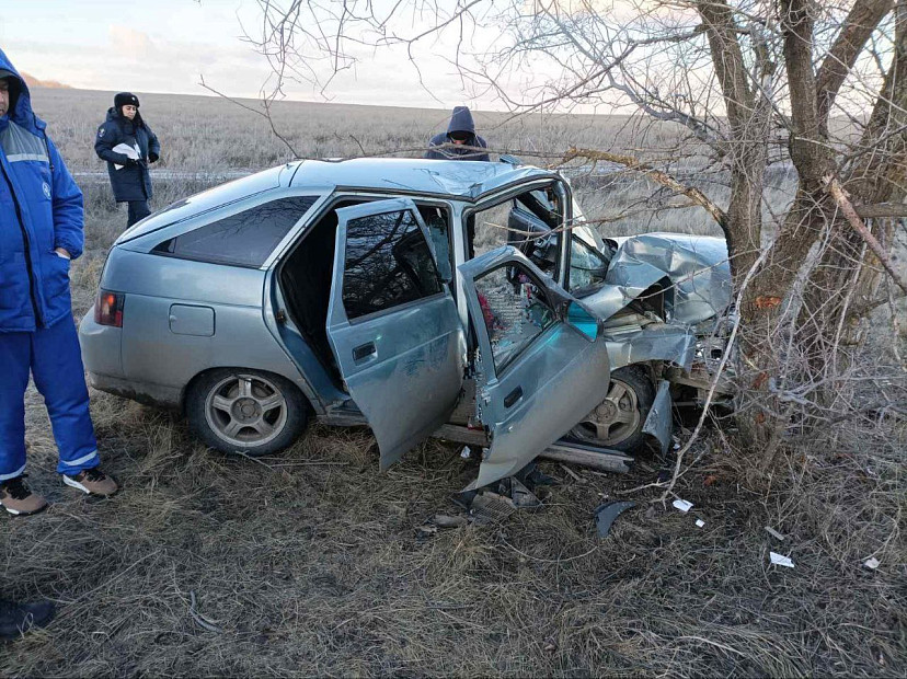 Женщина покалечилась в ДТП с деревом под Саратовом