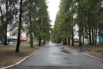 В Саратовской области завершается ремонт двух транзитных дорог к медучреждениям
