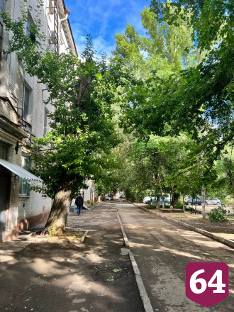 В Саратове упавшие деревья повредили три автомобиля