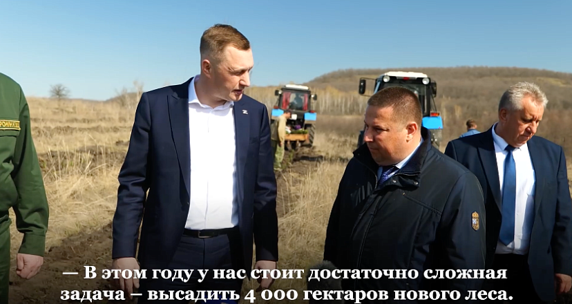 В Саратовской области высадят 4 тысячи гектаров леса