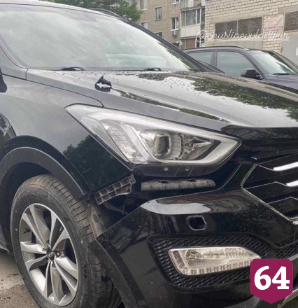 В Саратове стая собак оторвала бампер у автомобиля