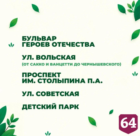 В Саратове высадят 300 крупномерных деревьев