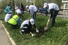 Саратовцы просят чиновников сберечь «Сад памяти» 