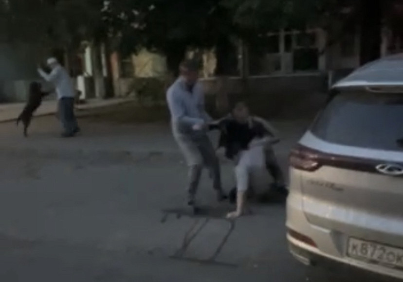 В центре Саратова подрались из-за собак