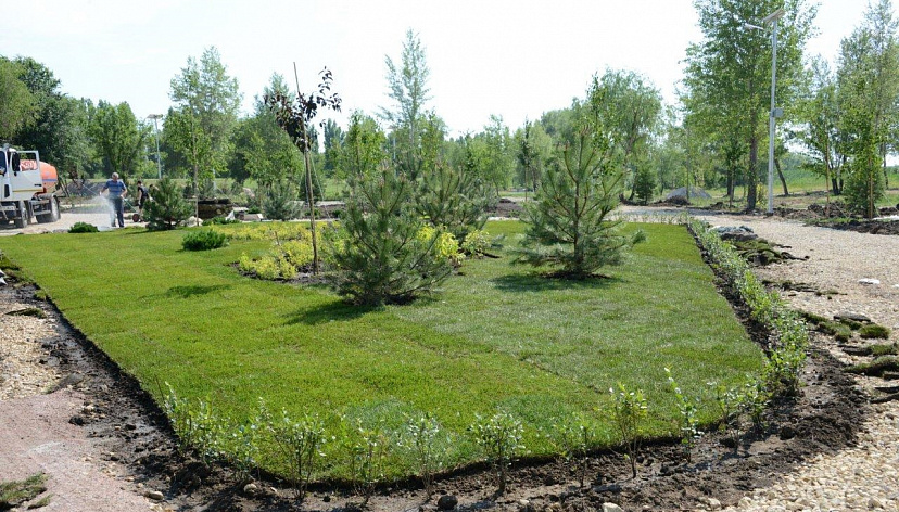 Балаковская АЭС в новом городском ландшафтном парке высадит 4000 деревьев и кустарников 
