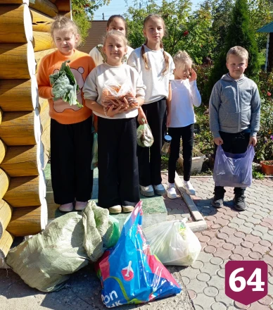 Саратовцы передали в национальный парк раненую пустельгу