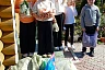 Саратовцы передали в национальный парк раненую пустельгу