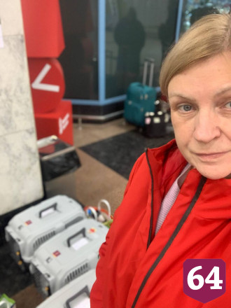 Жителям Саратова предложили приютить фронтовых котиков из Донбасса