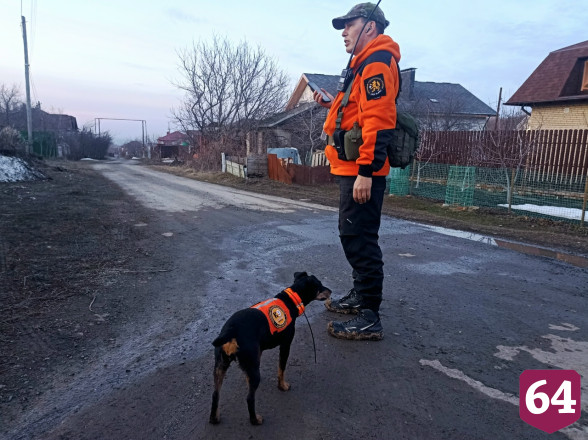 В Саратове пропавшего пожилого мужчину ищут десятки волонтеров