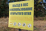 В лесу для саратовских влюбленных обустроили «Свадебную поляну» 