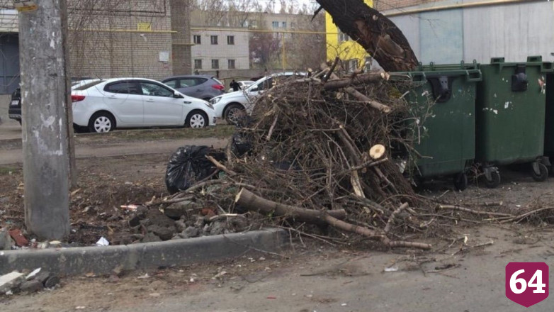 В Саратове за весну вывезено рекордное количество растительных отходов