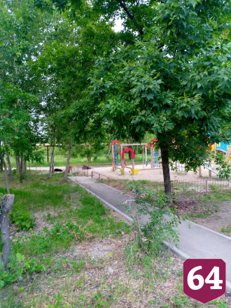 Бродячие собаки облюбовали детскую площадку в Саратове