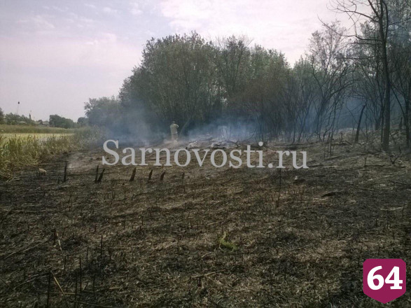 В Саратовской области из-за природного пожара едва не выгорело кладбище