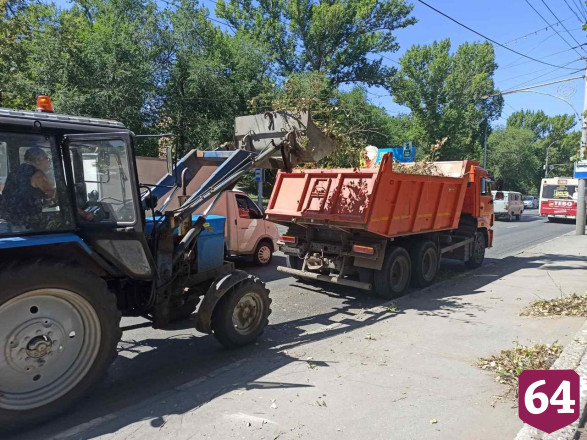 Висевшее над тротуаром дерево убрали после публикации «Региона 64»