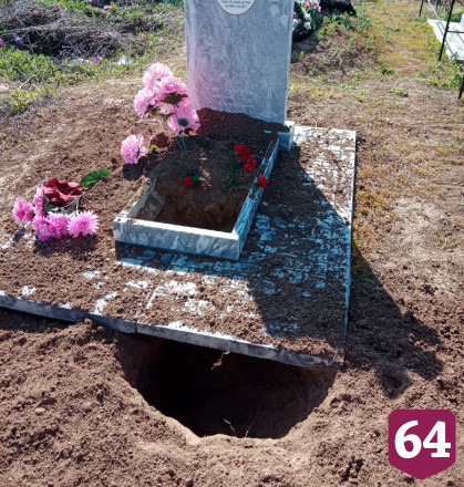 Зайцы разрывают могилы на саратовском кладбище 