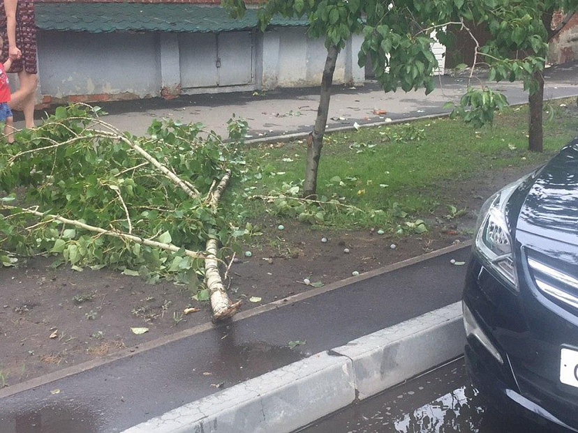 В центре Саратова сильный ветер срывал с деревьев крупные ветки
