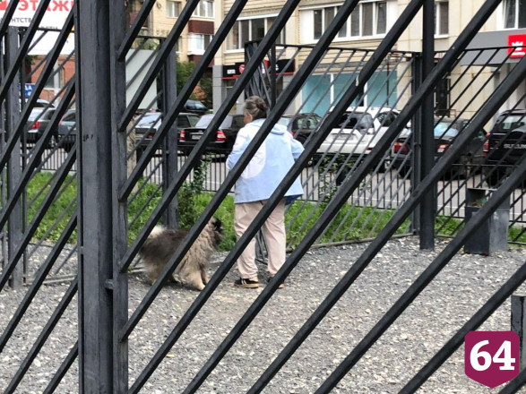 Жители Саратова проводят вечер на прогулках без масок