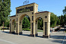 Коллектив Балаковской АЭС подарил землякам раритетное юбилейное дерево