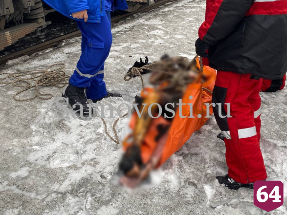 В Саратове прохожий упал с моста на поезд и загорелся
