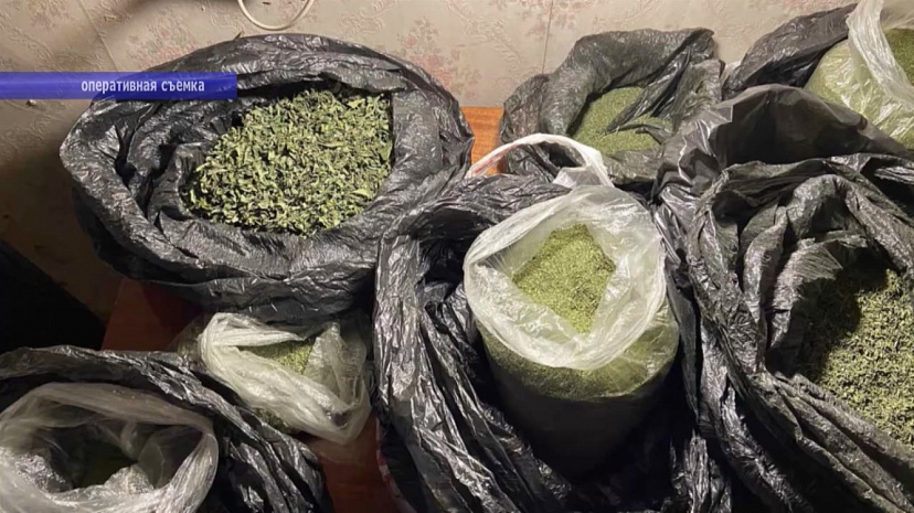Жители Заводского района хранили дома 10 килограммов марихуаны