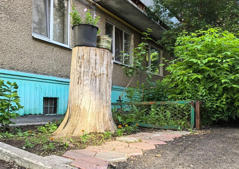 В Саратовскую область придут дожди и похолодание 