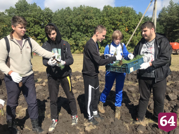 Под Саратовом высадили 2000 сеянцев сосны