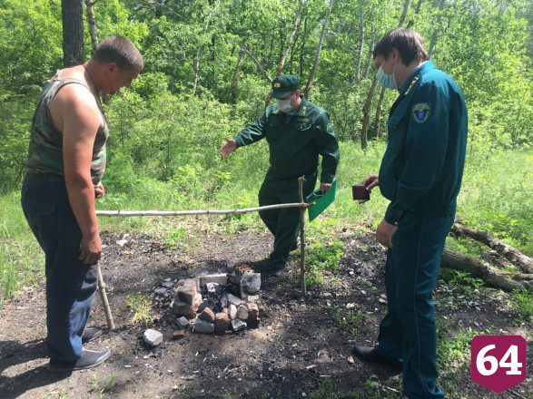 Саратовские лесничие потушили пришедший с федеральной трассы пожар