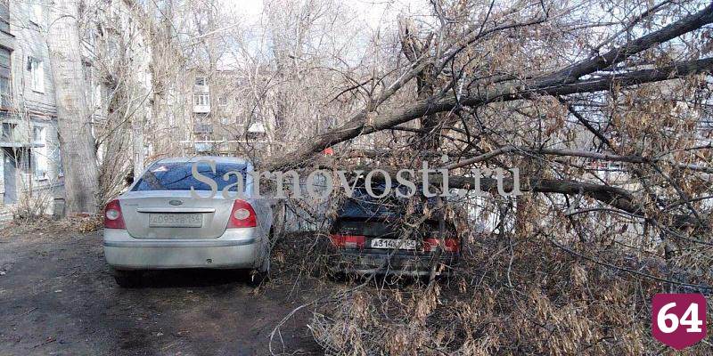 На Беговой дерево упало на внедорожник 