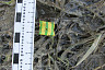 Полицейские обнаружили в Саратове 55 закладок с героином и спайсами