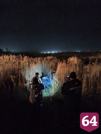 В Елшанке спасатели вытащили увязшего в камышах алабая