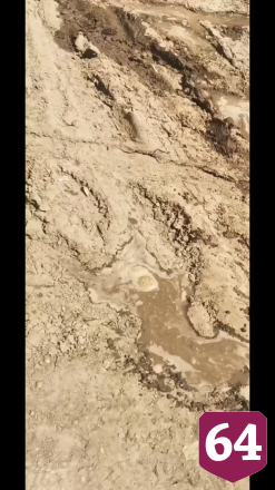 В Энгельсе нашли «море» из фекалий
