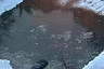 В Саратове двор ушел под воду вместе с машинами