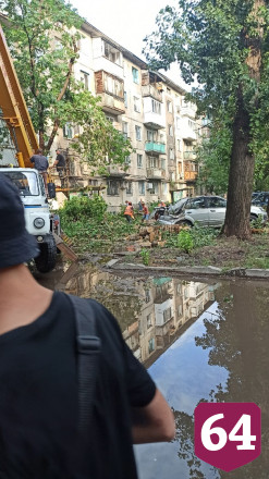 Поваленные сильным ветром деревья раздавили несколько автомобилей
