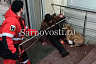 В Саратове собака пьяного мужчины не выпускала посетителей из магазина