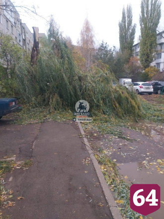 В Энгельсе деревья ветром повалило на провода