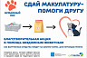 Школьники Саратова сдадут макулатуру в помощь приюту для бездомных животных