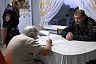 Мошенники требовали от пенсионерки полтора миллиона за «спасение» жены внука