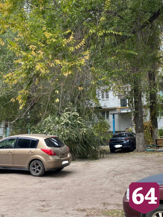 В Саратове после падения дерева попросили обследовать двор