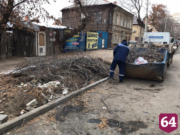 Из Саратова вывезли 4266 кубометров растительных отходов
