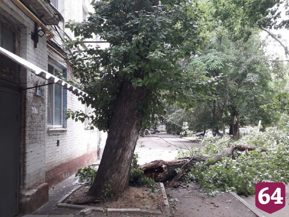 В Саратове упавшие деревья повредили три автомобиля