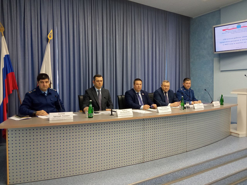 В Саратовской области в 8 раз превысили показатель по лесовосстановлению