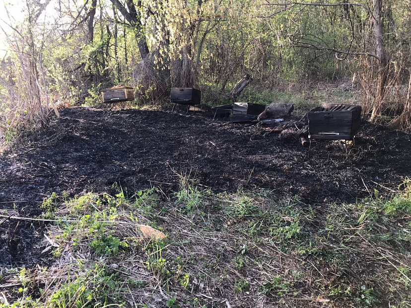 Под Саратовом пасечник погиб при возгорании ульев