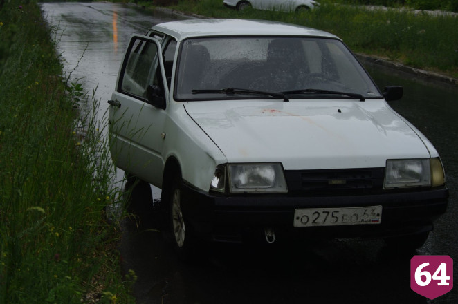 В Саратове бездомные собаки загнали косулю под автомобиль