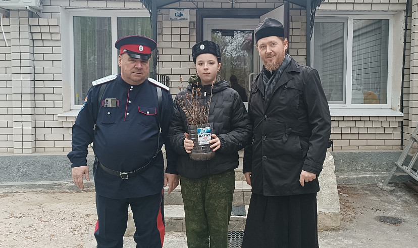 Жителям Саратовской области бесплатно раздают саженцы дубов