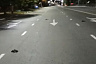 Ветеринары выясняют причину массовой гибели птиц в Саратовской области
